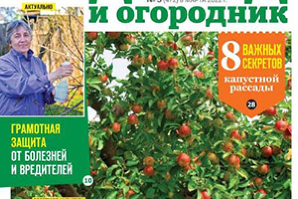 Кракен наркошоп ссылка