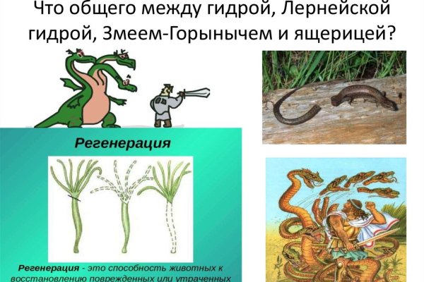 Kraken это