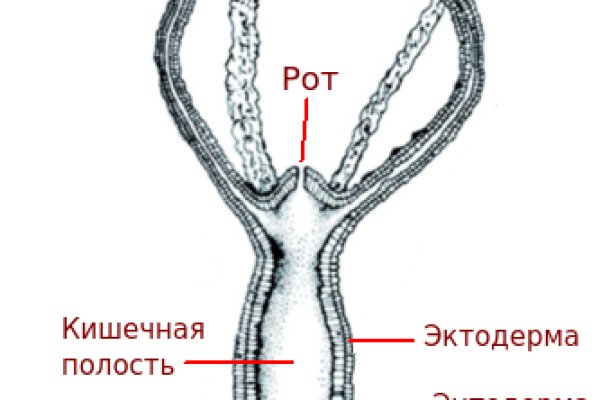 Кракен ссылка прокатис