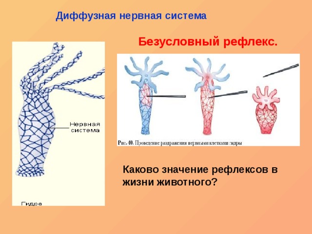 Зарегистрироваться на сайте кракен