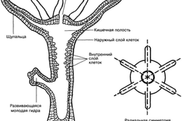 Что с кракеном сегодня сайт